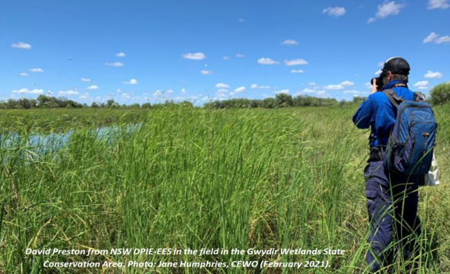 Screen Shot 2021-08-27 at 2.00.43 pm