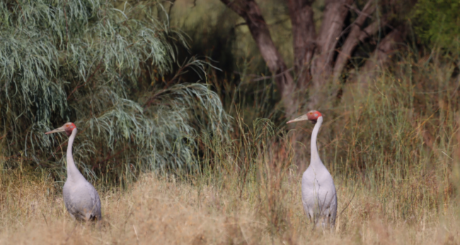 Featured Image Web Temp (11)